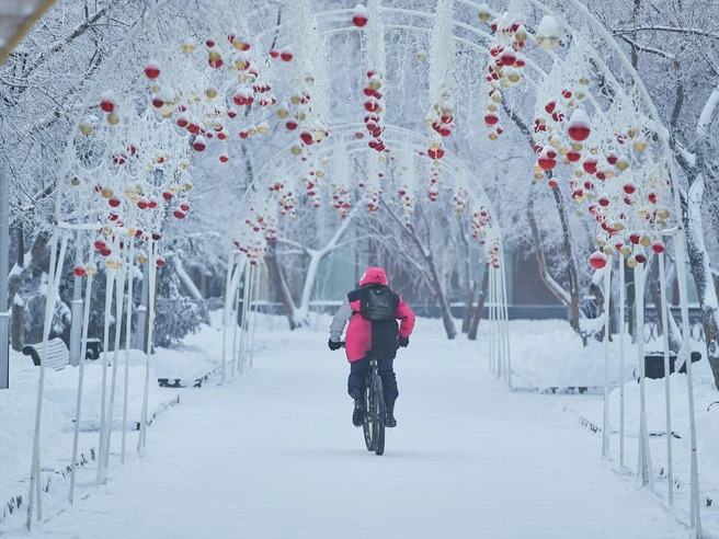 В прошлогоднем зимнем периоде жители Новосибирской области столкнулись с морозами только в январе. | Источник: Александр Ощепков / NGS.RU