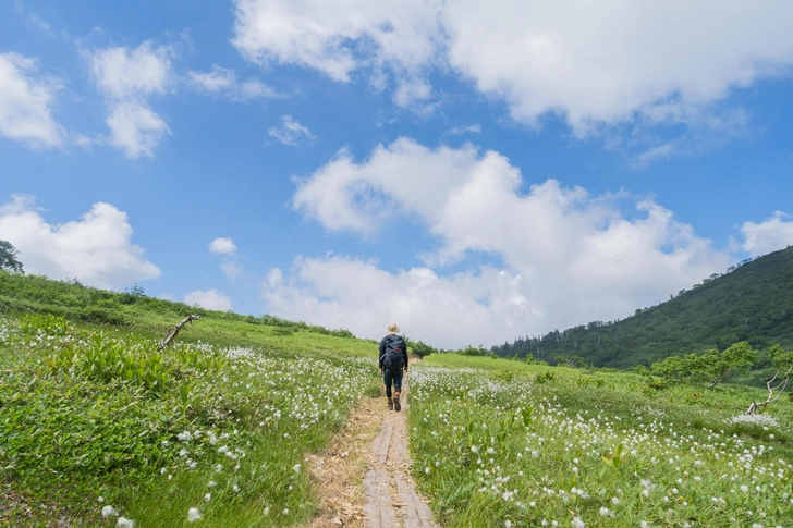 Источник: kenta-yamazaki&nbsp;via&nbsp;Shutterstock/Fotodom.ru