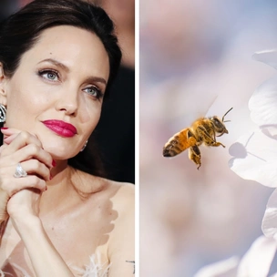 «От женщин пчелам»: Guerlain запускает программу, которая расширит права женщин