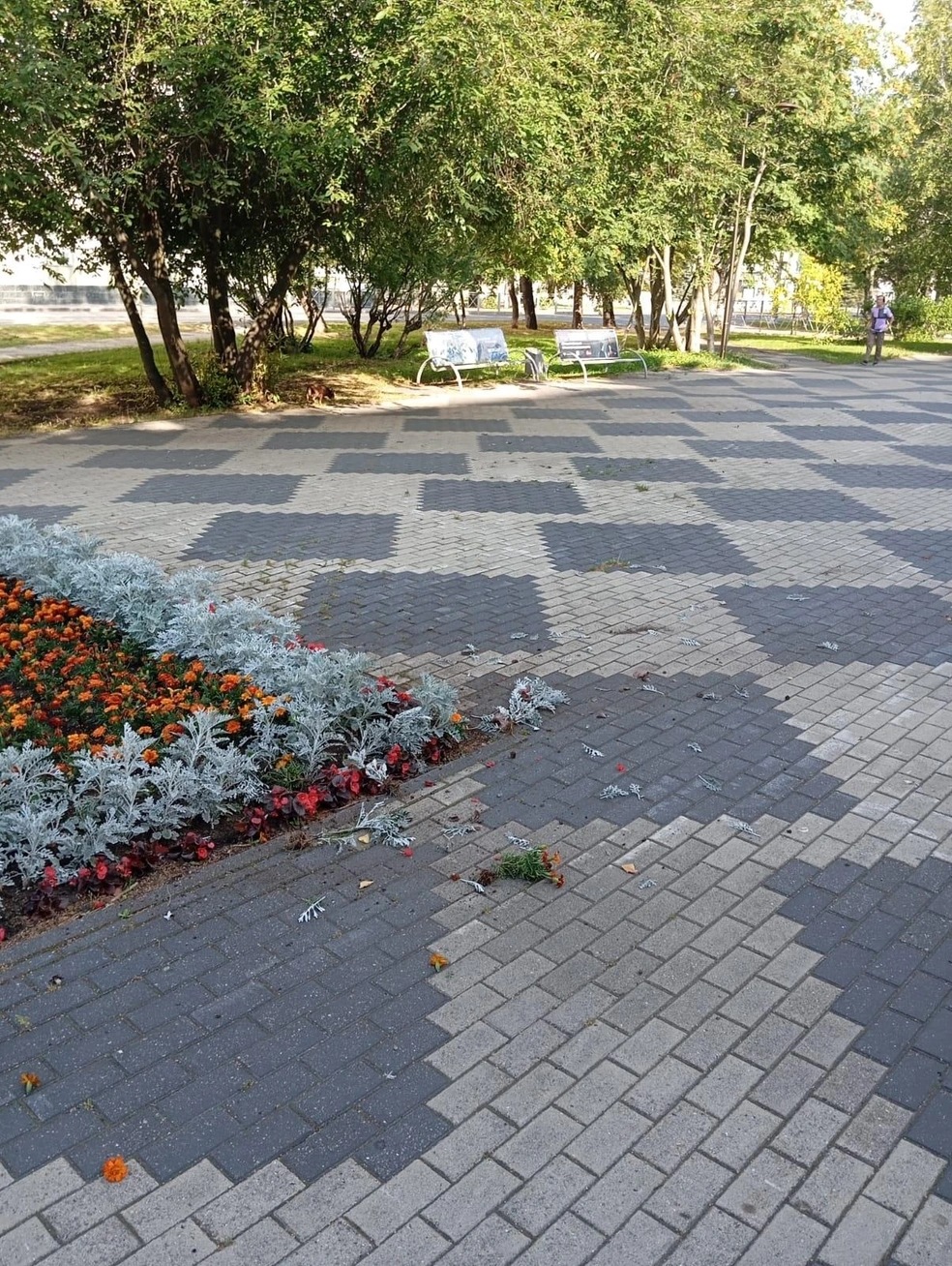 Источник: Администрация Архангельска