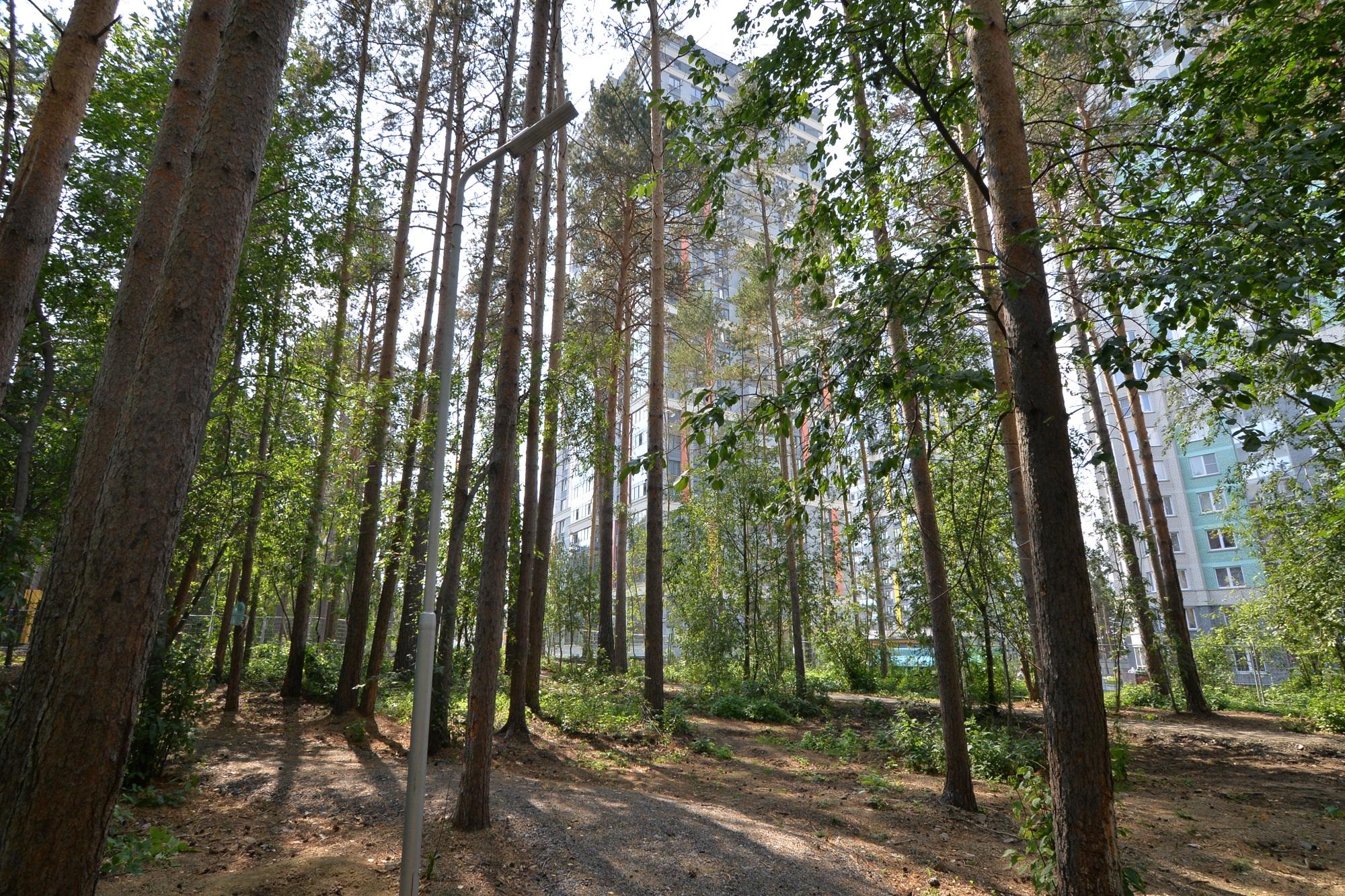 В Екатеринбурге открыли новую зеленую площадку для отдыха - 10 сентября  2019 - Е1.ру