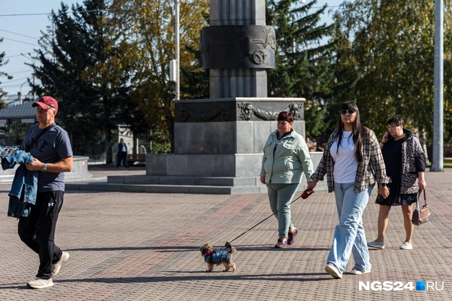 С собаками | Источник: Мария Ленц / NGS24.RU