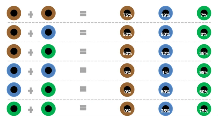 Каким будет цвет глаз у ребенка по цвету глаз родителей: таблица