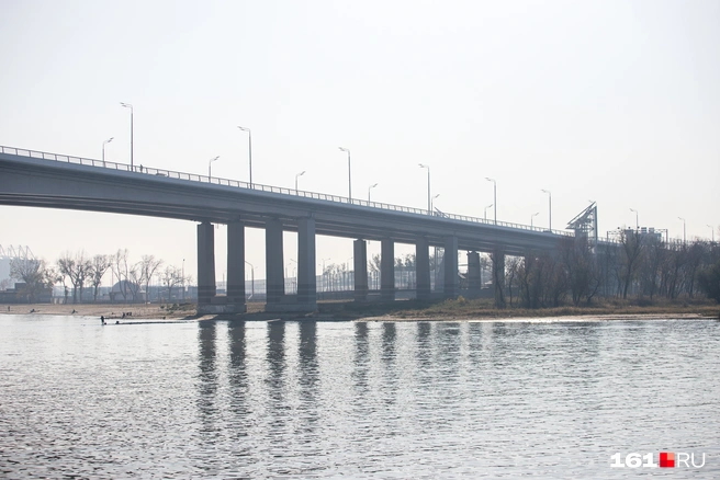 Общественники создали петицию, чтобы защитить рощу на Шоссейной улице | Источник: Евгений Вдовин / 161.RU