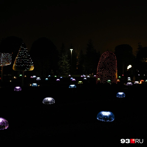 Источник: Дарья Паращенко / 93.RU