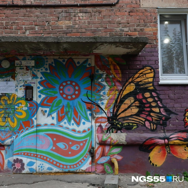 Бабочки стремятся к цветам | Источник: Евгений Софийчук / NGS55.RU