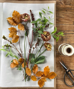 Как правильно засушить цветы для гербария и декора: советы флористов