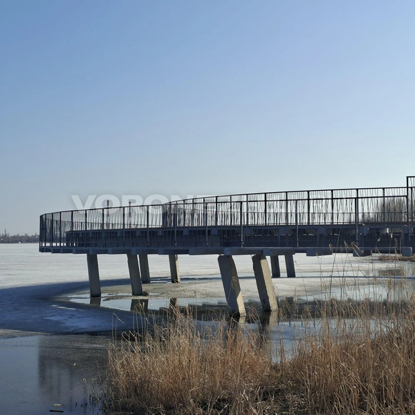 Источник: Алёна Воропаева/ Voronezh1.ru