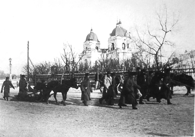 Чаще всего воровали лошадей | Источник: Pastvu.com