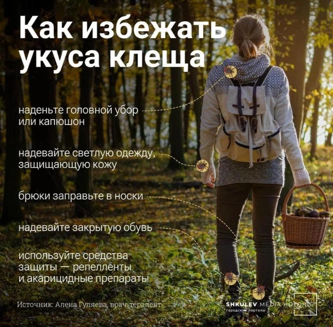 Соблюдайте правила безопасности на природе | Источник: Виталий Калистратов / Городские медиа