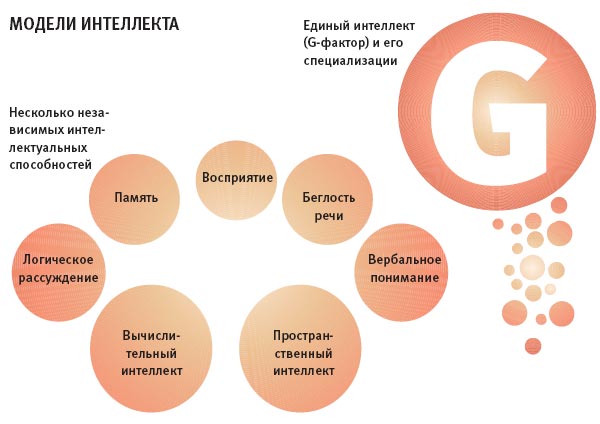 Лабиринты интеллекта