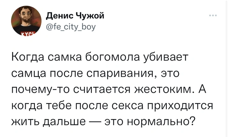 Шутки вторника и Буратиндер