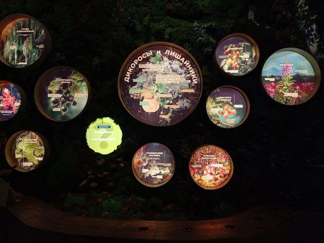 Игра теней и света завораживает | Источник: Мария Гришкина / 86.RU