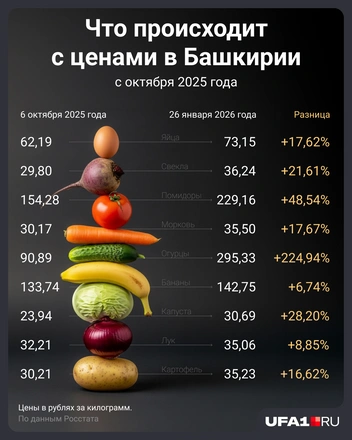 IV квартал 2025 года | Источник: Мария Романова / Городские медиа