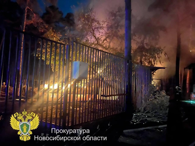 Спасли быка и верблюда: пожар в зоопарке Новосибирска локализовали — что известно о ЧП | Источник: Прокуратура Новосибирской области