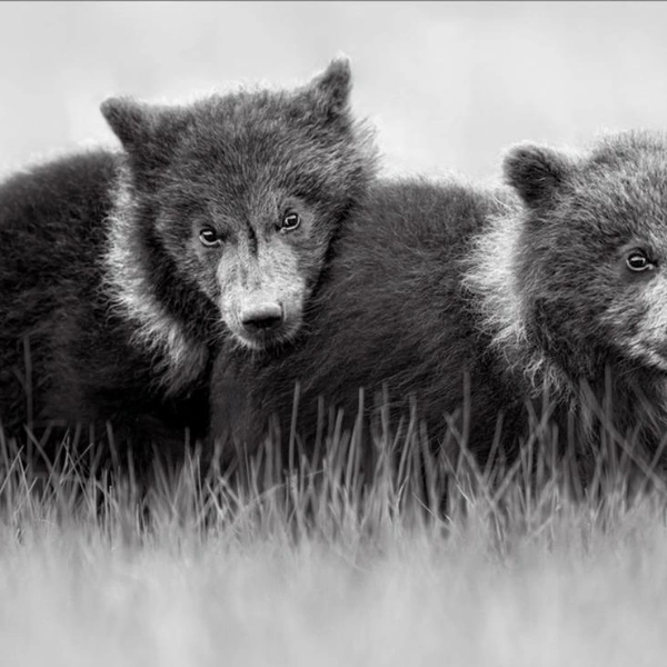 Источник: Preeti &amp; Prashant Chacko / Exposure One Awards 2025