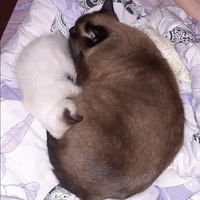 Аватарка Ксения