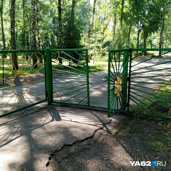 А рядом с ними гуляют дети | Источник: предоставлено родителями ребенка