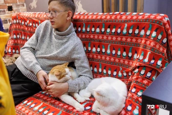 Источник: Ирина Шарова / 72.RU