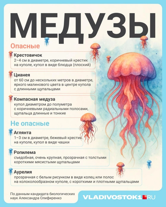 Источник: Полина Авдошина / Городские медиа