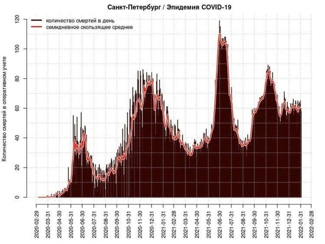 Источник: COVID-19.SPb.monitoring