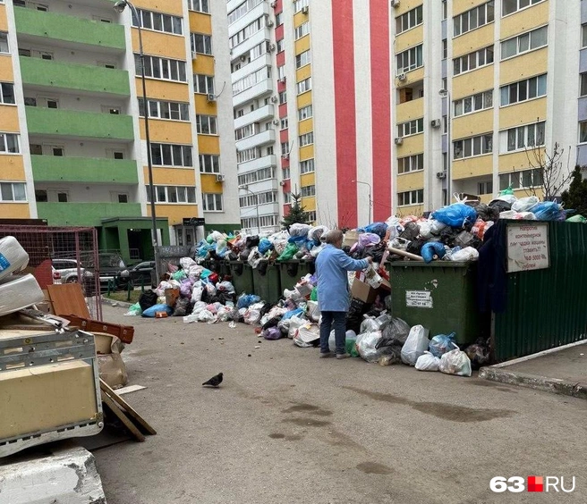 Рядом с контейнерной площадкой жители стали складывать и крупногабаритный мусор | Источник: читатель 63.RU
