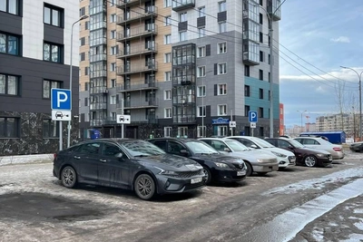 Автохамы в Красноярске паркуются на местах для электромобилей