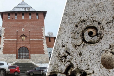 Ancient Fossils of Nizhny Novgorod: From Kremlin to Metro