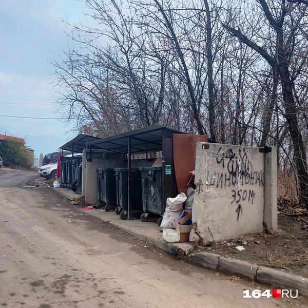 Источник: Сергей Гендин / 164.RU