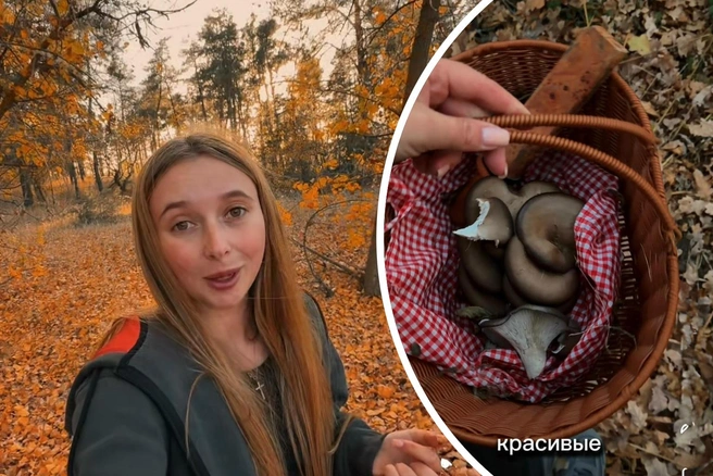 Это точный знак — вам пора в лес за грибами! | Источник: На рыбалку с Ле / Vk