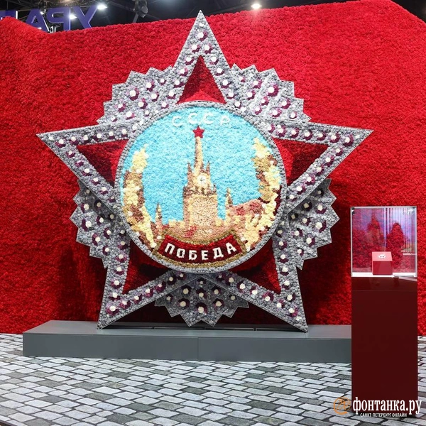 Источник: Дарья Драй / «Фонтанка.ру»