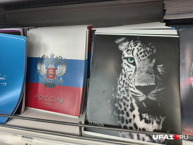 Суровая классика всё еще имеется | Источник: Булат Салихов / UFA1.RU