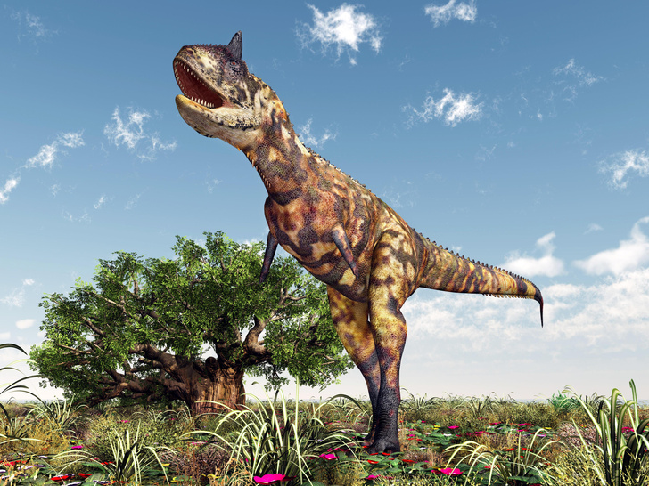 Фрукты для динозавра: самые важные растения на Земле оказались более живучими, чем мегаящеры