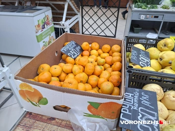 Источник: Алёна Воропаева / Voronezh1.ru