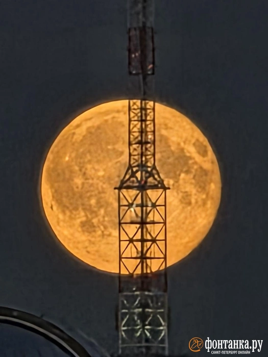 Осеннее суперлуние озарило Петербург | Источник: читатель «Фонтанки»