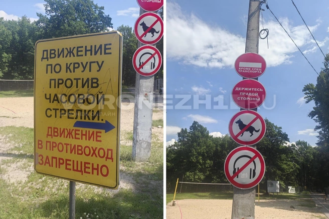 Предупреждающие знаки. Некоторые из них гласят: выгуливать собак запрещено… | Источник: Андрей Пашинский / Voronezh1.ru