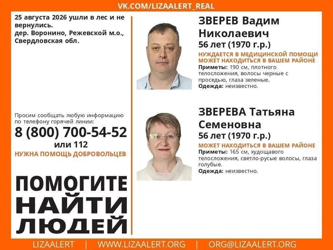 Источник: «ЛизаАлерт»