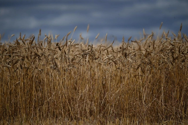 Источник: Санжар Канатпаев