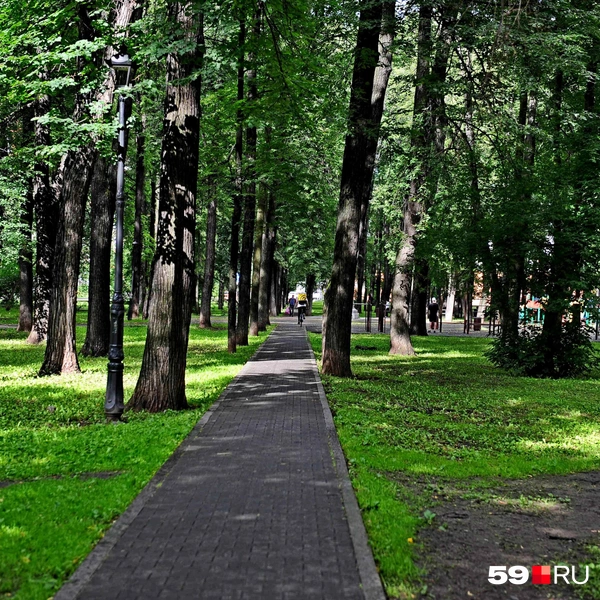 В скверике прохладно | Источник: Ирина Тропина / 59.RU