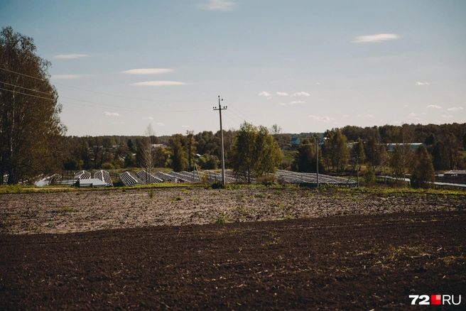В следующем сезоне тут планируют посадить виноград | Источник: Ирина Шарова / 72.RU
