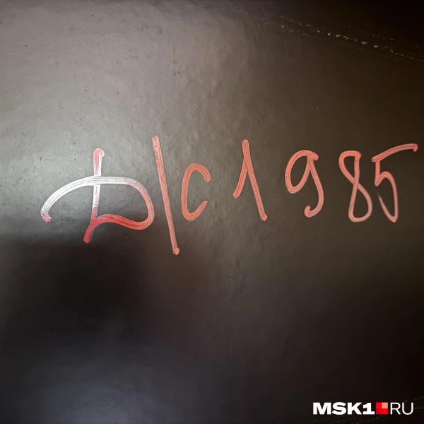 Источник: Алина Мельникова / MSK1.RU
