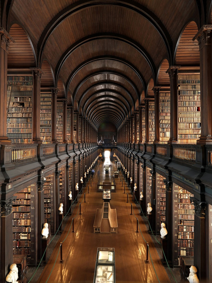Самые потрясающие библиотеки мира (фото 48)