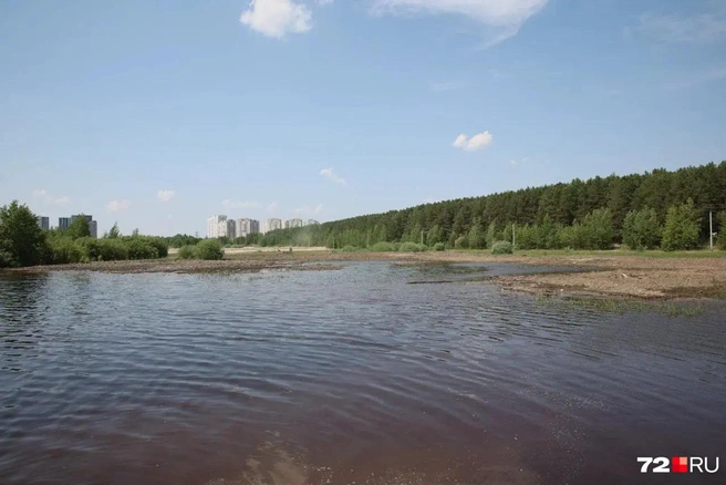 Пляж находится на озере Круглом, неподалеку от Гагаринского парка | Источник: Ирина Шарова / 72.RU