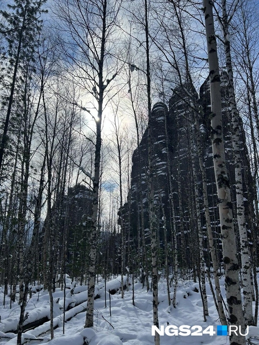 Местные ландшафты | Источник: Алексей Тайганавт / NGS24.RU