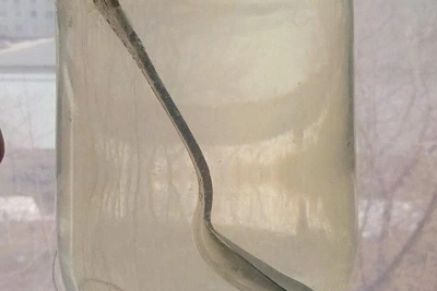 Барнаульцы жалуются на мутную водопроводную воду