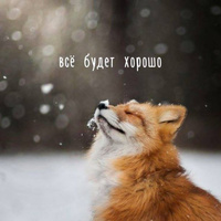 Аватарка Aelena