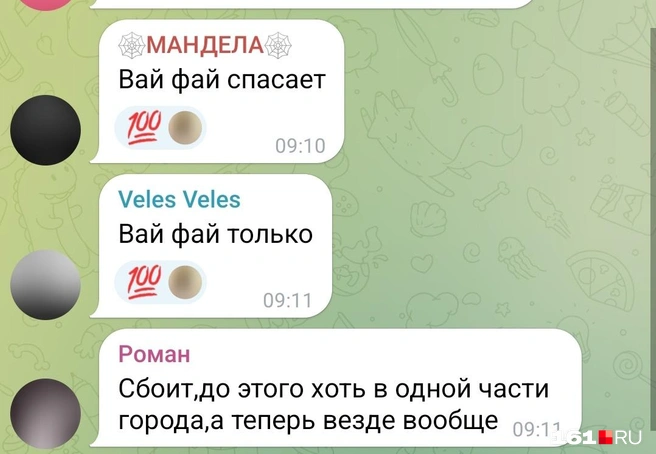 Источник: news161ru / t.me