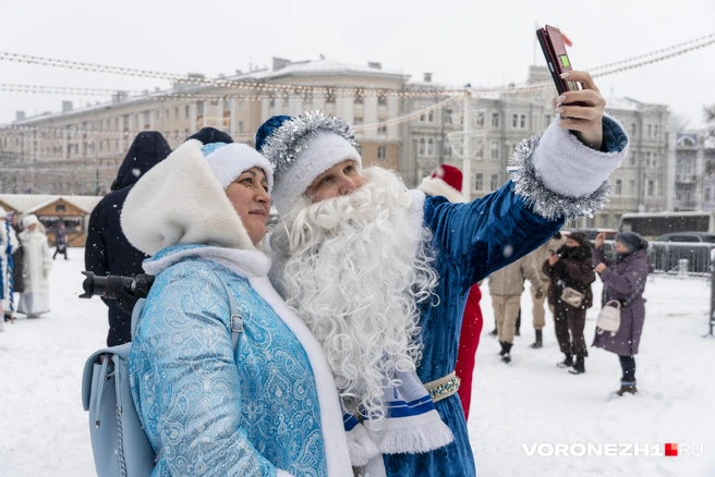 Источник: Дмитрий Волгин / Voronezh1.ru