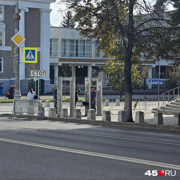 Источник: Дарья Никитченко / 45.RU