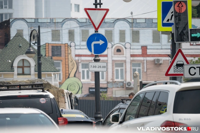Это несложно, главное быстро сообразить | Источник: Елена Буйвол / VLADIVOSTOK1.RU
